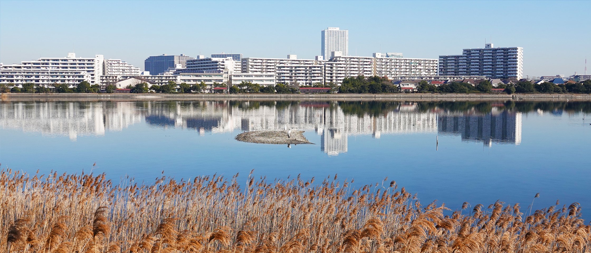 🏞️ 야쓰 갯벌 공원 (야쓰히가타 고엔) 이미지 6